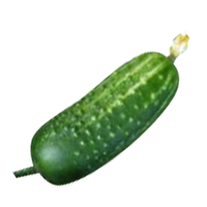 Cucumber PNG-12615